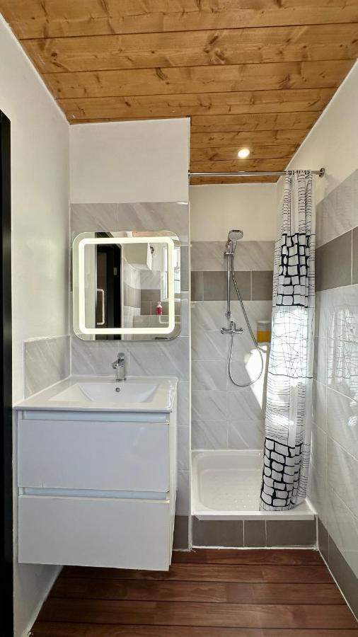 Lion's Room - 2 minute walk from Palais des Festivals&Beaches Cannes Exterior foto